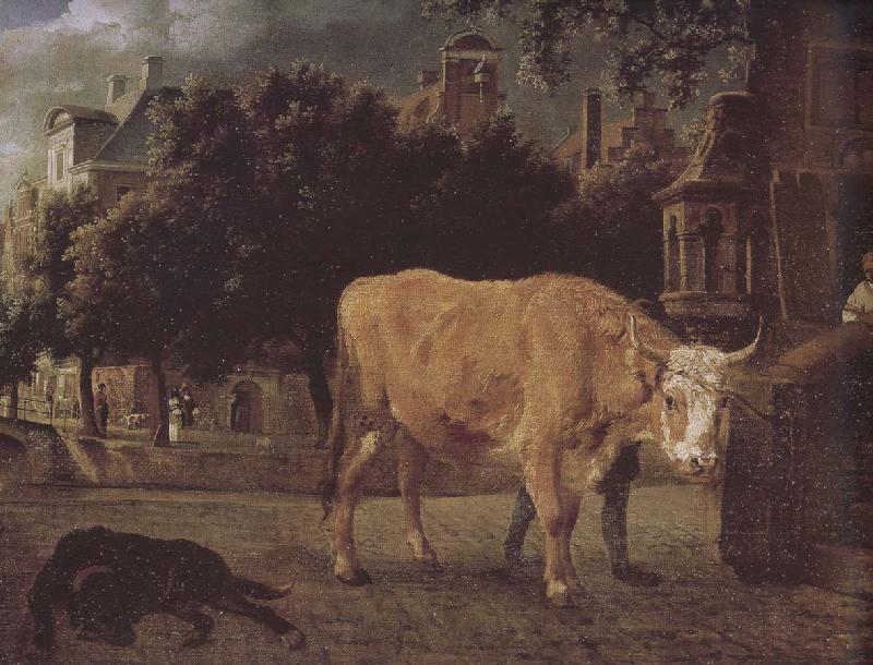 Jan van der Heyden Square cattle Germany oil painting art